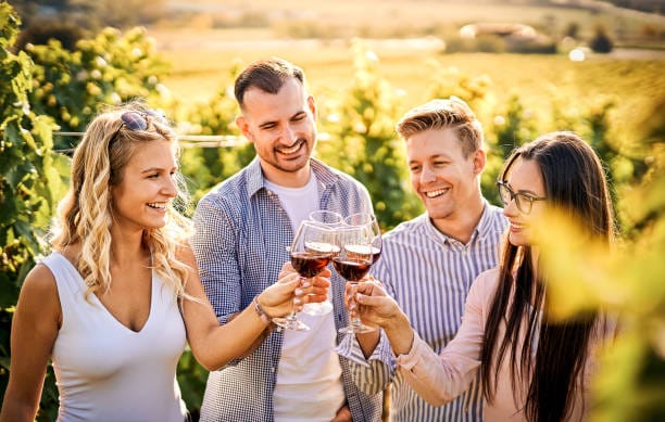 wine tours in virginia, dc and maryland wine tours in virginia, dc and maryland