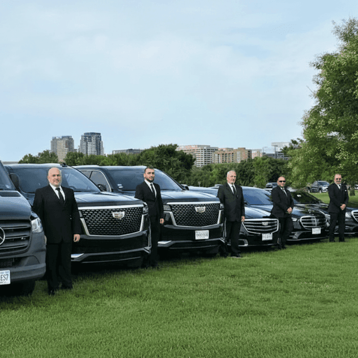 chauffeurs in dc